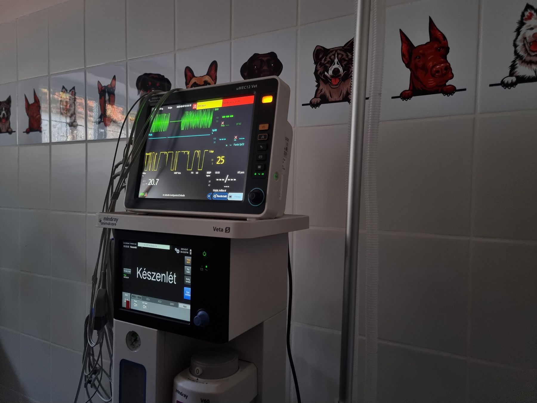 Patient vital-signs monitor and anaesthesia workstation